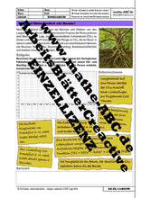 Lade das Bild in den Galerie-Viewer, AA-14-BAUM - Wie viel Klima rettet ein Baum?