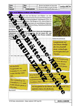 Lade das Bild in den Galerie-Viewer, AA-14-BAUM - Wie viel Klima rettet ein Baum?