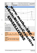 Lade das Bild in den Galerie-Viewer, AzP-DE-11 - AB Schneeballwurf
