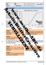 Lade das Bild in den Galerie-Viewer, AzP-DE-16 - AB Dinosaurier