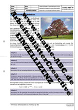 Lade das Bild in den Galerie-Viewer, Aze-13 - AB Sauerstoffproduktion